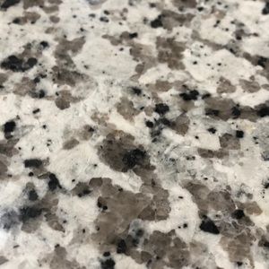 Meet your Posher, Adalberto